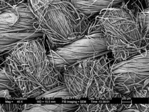 Pamuk Jüdlü Yün Halının 40 Kat Büyütülmüş Görüntüsü (Evde halı toz filtresidir.)